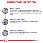 royal-canin-dog-veterinary-diets-neutered-adult-gallery-3