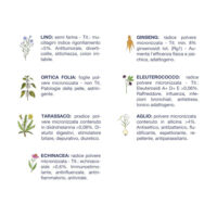 Infografica piante officinali e loro benefici