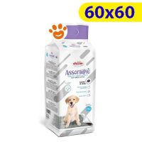 Record Assorbipiù con Carbone
Attivo (60x60) Tappetini Igienici Assorbenti