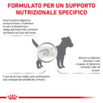 royal-canin-vhn-dog-gastrointestinal-low-fat-small-gallery