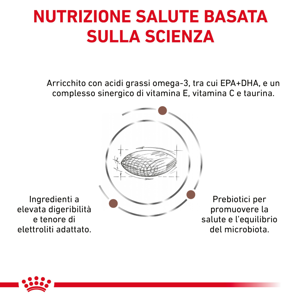 royal-canin-vhn-dog-gastrointestinal-low-fat-small-gallery-2