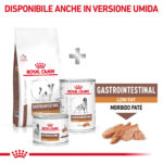 royal-canin-vhn-dog-gastrointestinal-low-fat-small-gallery-7
