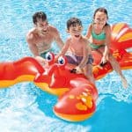 Intex-Aragosta-Cavalcabile_2