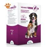 MSD-Youact-Dog&Cat-Glico