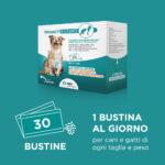 Confezione Youact Entero per cani e gatti