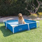 Intex-Piscina-Quadrata-per-Cani-152x152x30cm_10