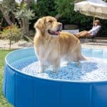 Intex-Piscina-Rigida-per-Cani-152x30cm_9
