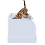 Imac-Lettiera-per-Gatti-Frida-Verde-5