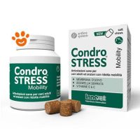 Innovet Dog Condrostress Mobility