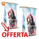 acme-horse-amino-sport-mp