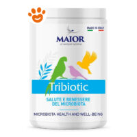Chemi Vit Maior Tribiotic