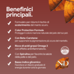 Benefici alimento pet per mantello scuro