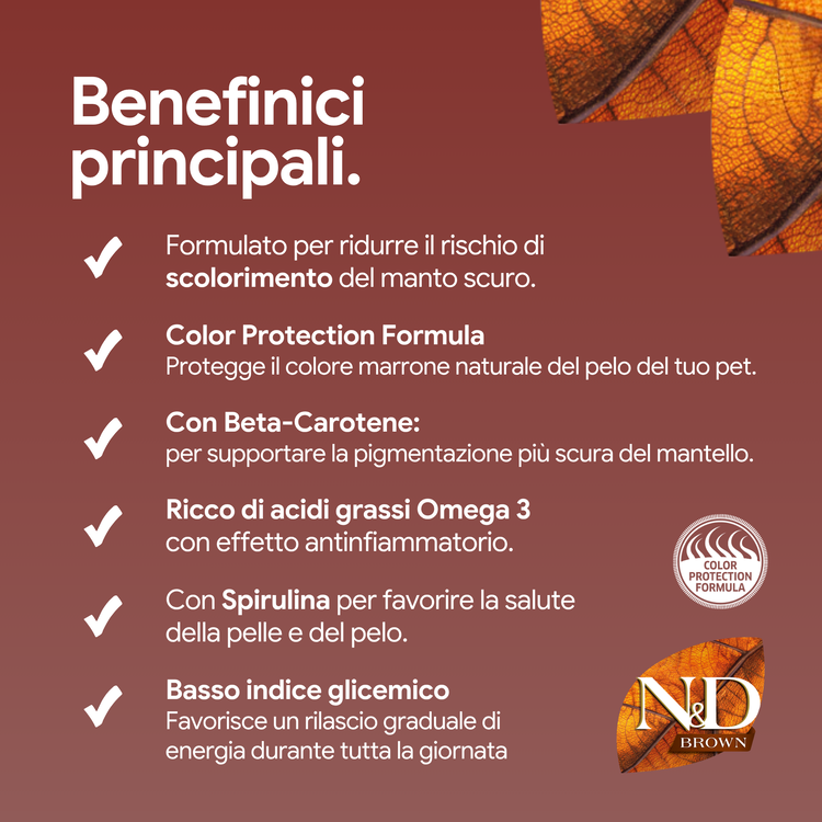 Benefici alimento pet per mantello scuro