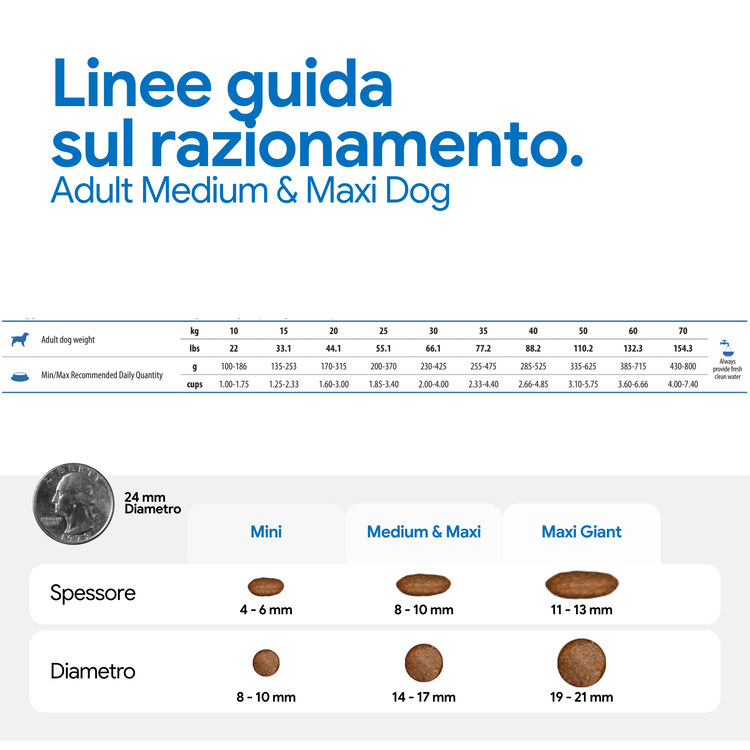 Linee guida razionamento Adult Medium & Maxi Dog