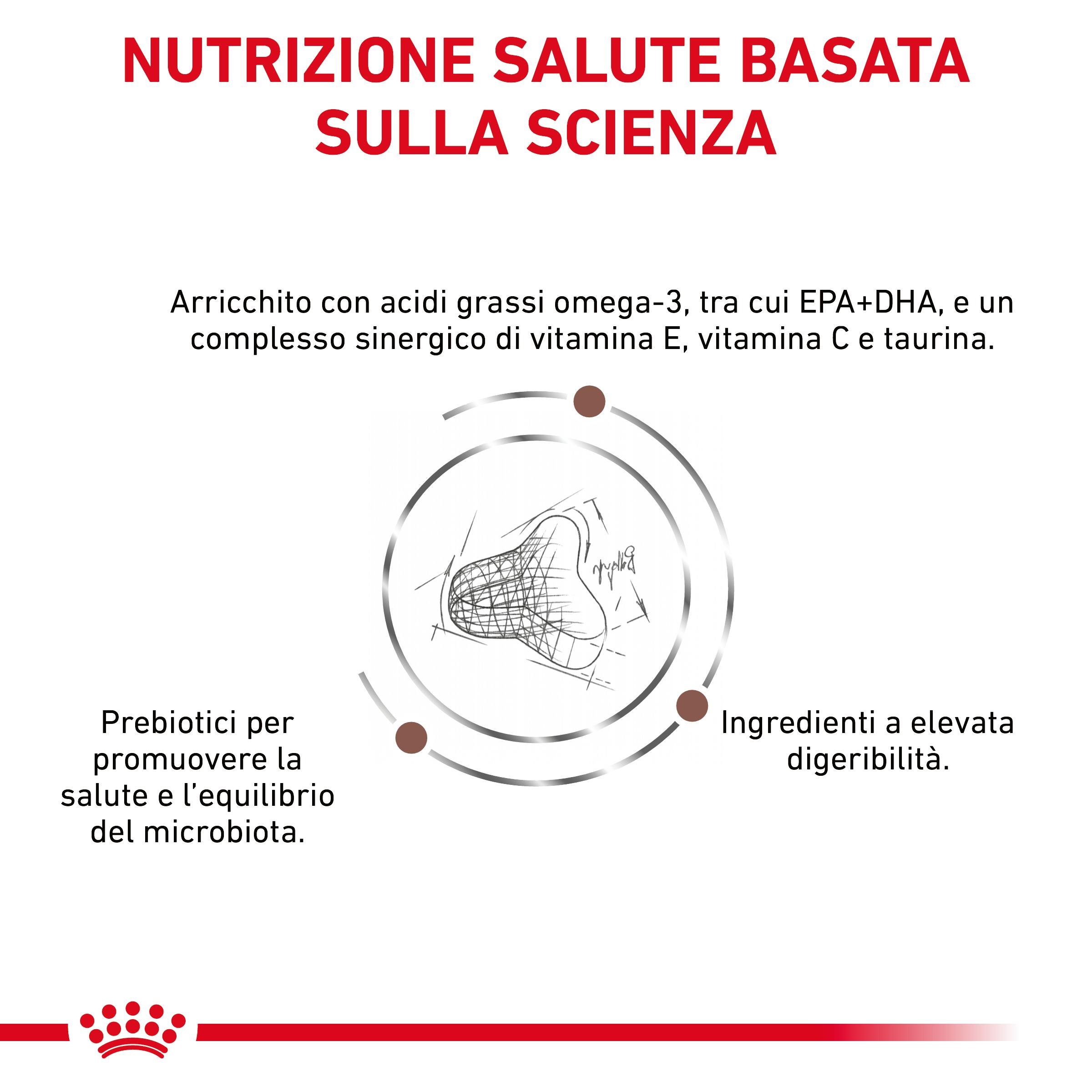 royal-canin-cat-vhn-gastrointestinal-fibre-response-gallery (2)