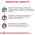 royal-canin-cat-vhn-gastrointestinal-fibre-response-gallery (3)