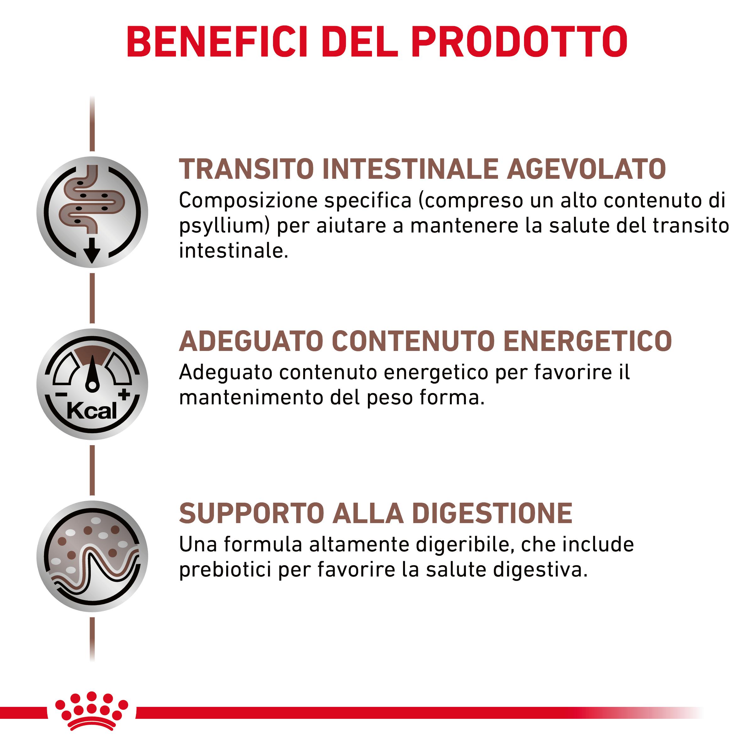 royal-canin-cat-vhn-gastrointestinal-fibre-response-gallery (3)