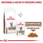 royal-canin-cat-vhn-gastrointestinal-fibre-response-gallery (7)