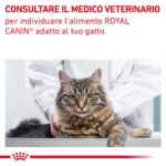 royal-canin-cat-vhn-gastrointestinal-fibre-response-gallery (8)