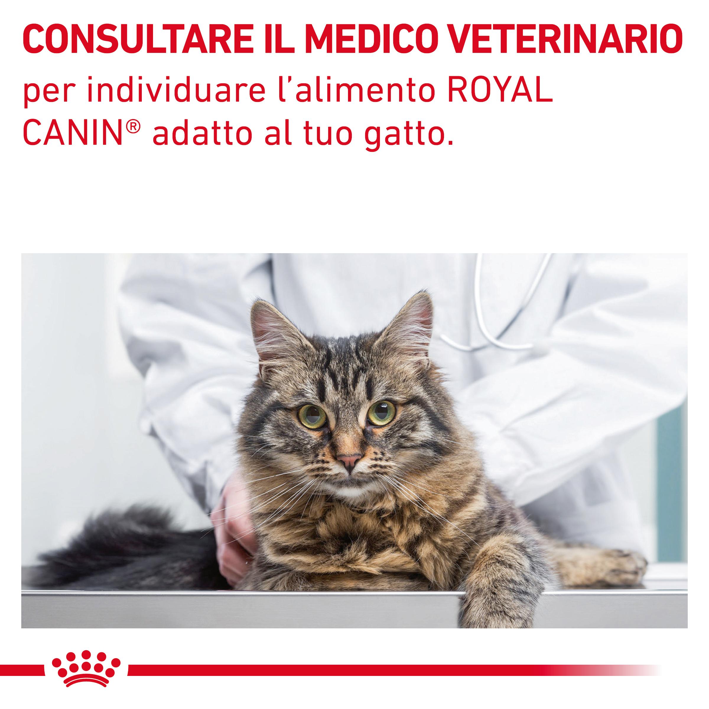 royal-canin-cat-vhn-gastrointestinal-fibre-response-gallery (8)