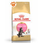 royal-canin-fbn-cat-kitten-maine-coon