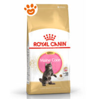 Royal Canin FBN Cat Kitten Maine Coon
