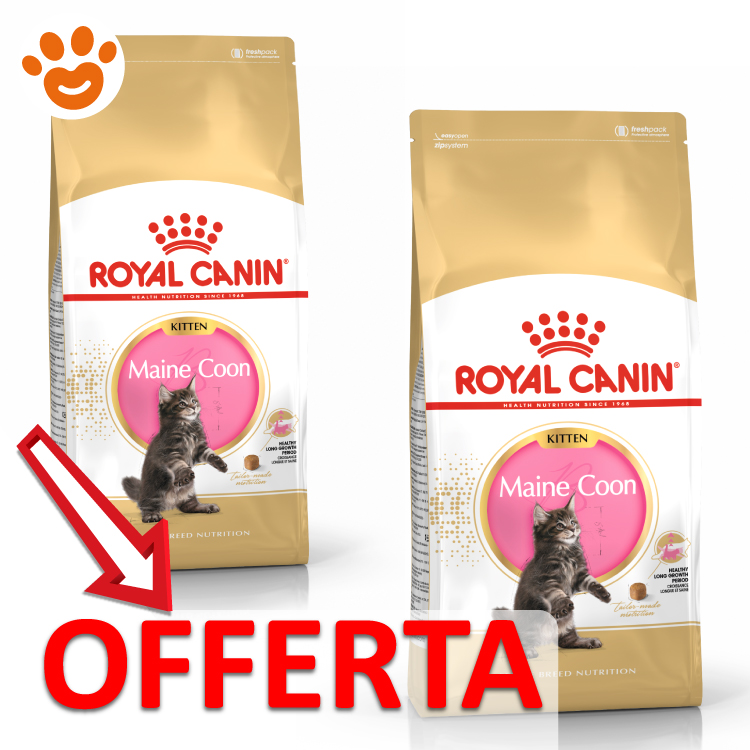 royal-canin-fbn-cat-kitten-maine-coon-mp