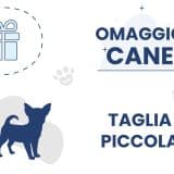Omaggio Cane Taglia Piccola (A)