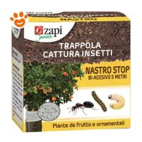 Zapi Trappola Nastro Stop Bi Adesivo 5 M