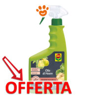 Spray Olio di Neem Compo in offerta