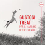 royal-canin-dog-training-treats-snack-per-cani-gallery-3