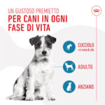 royal-canin-dog-training-treats-snack-per-cani-gallery-4