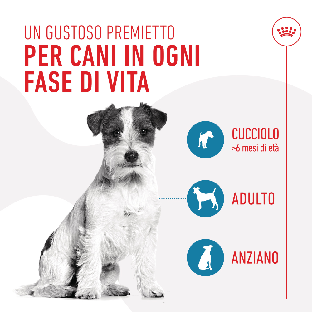 royal-canin-dog-training-treats-snack-per-cani-gallery-4