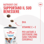 royal-canin-dog-training-treats-snack-per-cani-gallery-5