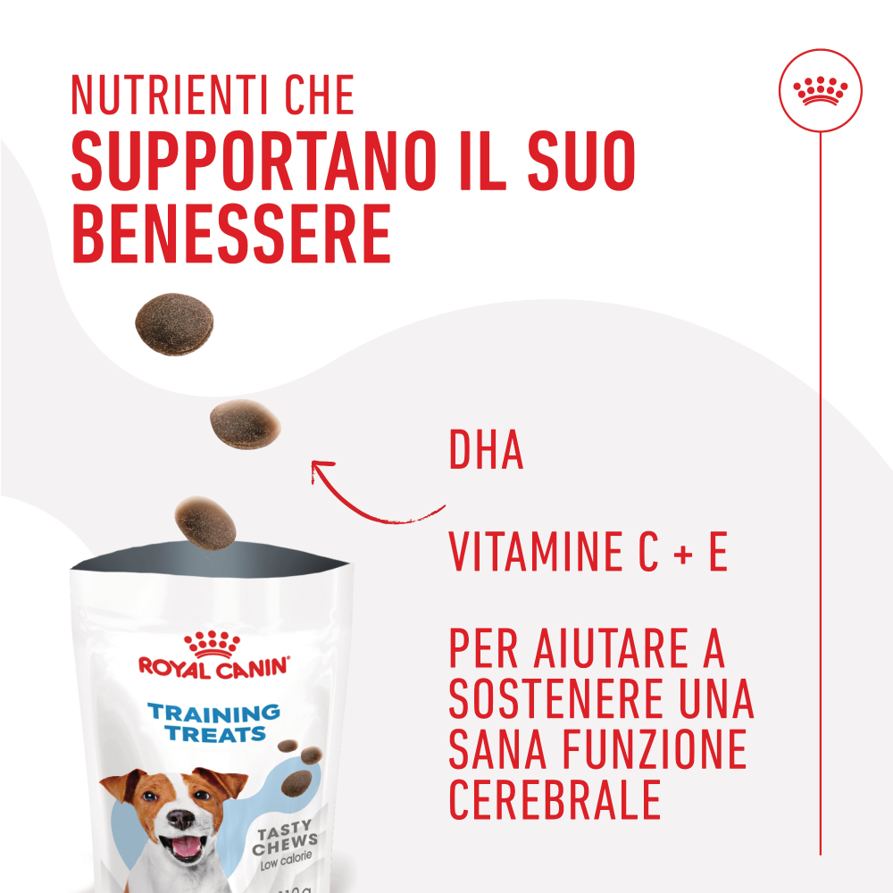 royal-canin-dog-training-treats-snack-per-cani-gallery-5