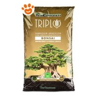 Tercomposti Triplo Terriccio Bonsai