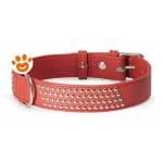 camon-dog-collare-in-pelle-rosso-con-borchiette-20x200mm
