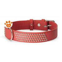 Camon Dog Collare in Pelle Rosso con Borchiette (20x200 mm)