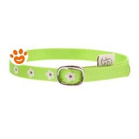 Ferribiella Cat Collare Flower Verde