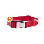 ferribiella-dog-ollare-regolabile-nylon-10×20-35cm-rosso