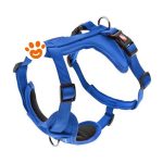ferribiella-dog-pettorina-cesare-l-blu-2-5cm