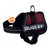 Pettorina Julius K9 Bordeaux