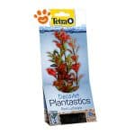 tetra-decoart-red-ludwigia-m