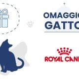 Omaggio Gatto Royal Canin