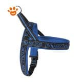 Camon Dog Pettorina Neoprene Dynamic