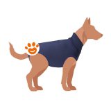 Camon Dog Tutina Post-Operatoria Blu