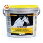 equistro-horse-myo-power