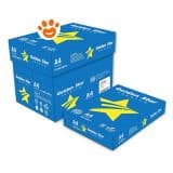 Golden Star Carta A4 75 gr (Risme da 500 fogli)