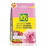 KB Concime Rose