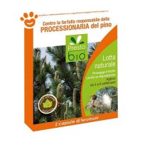 Ueber Feromoni Processionaria del Pino